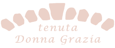 Logo_rosa_mobile_2 v2